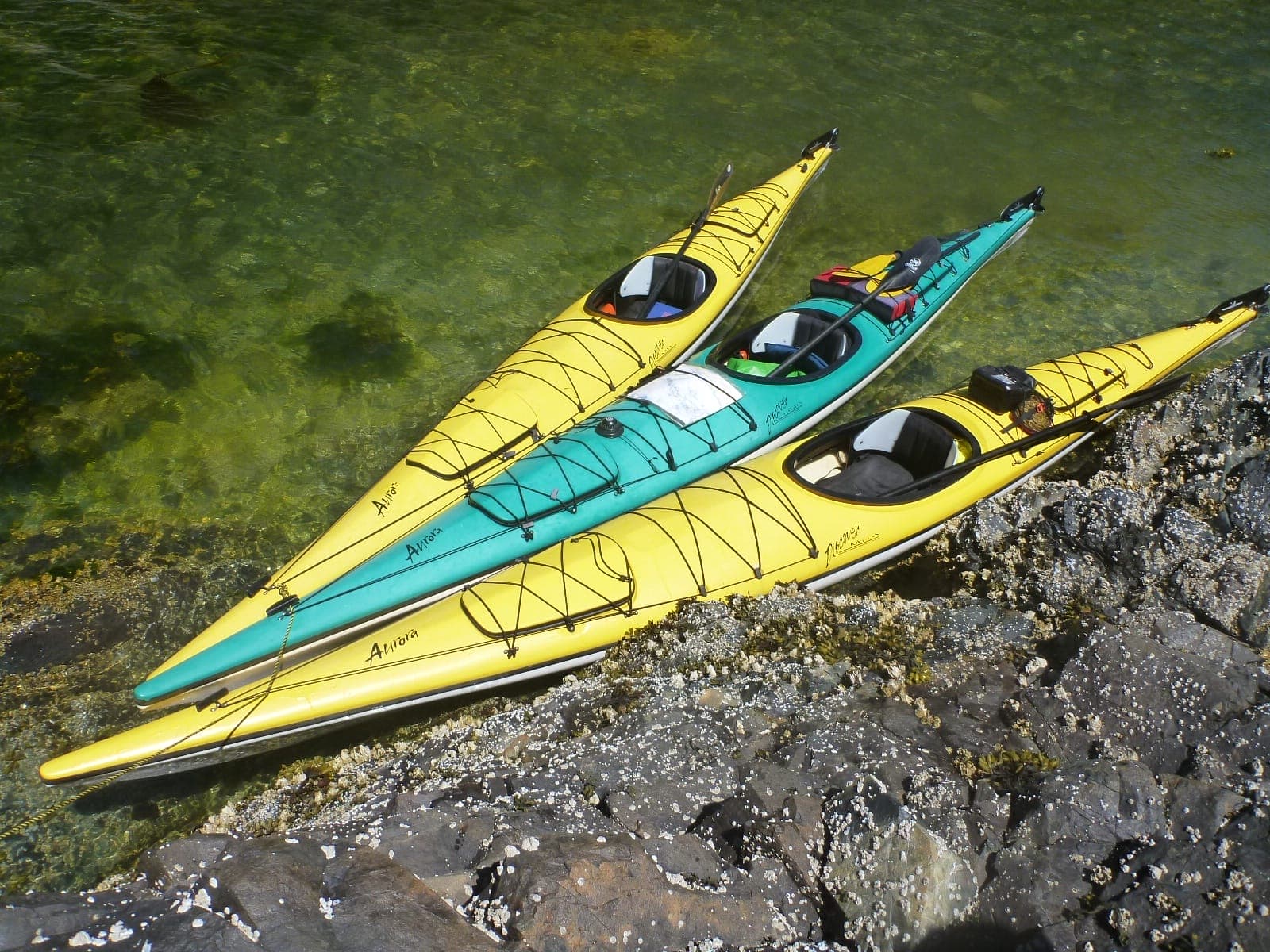 Sea Kayaks tied together in the ocean